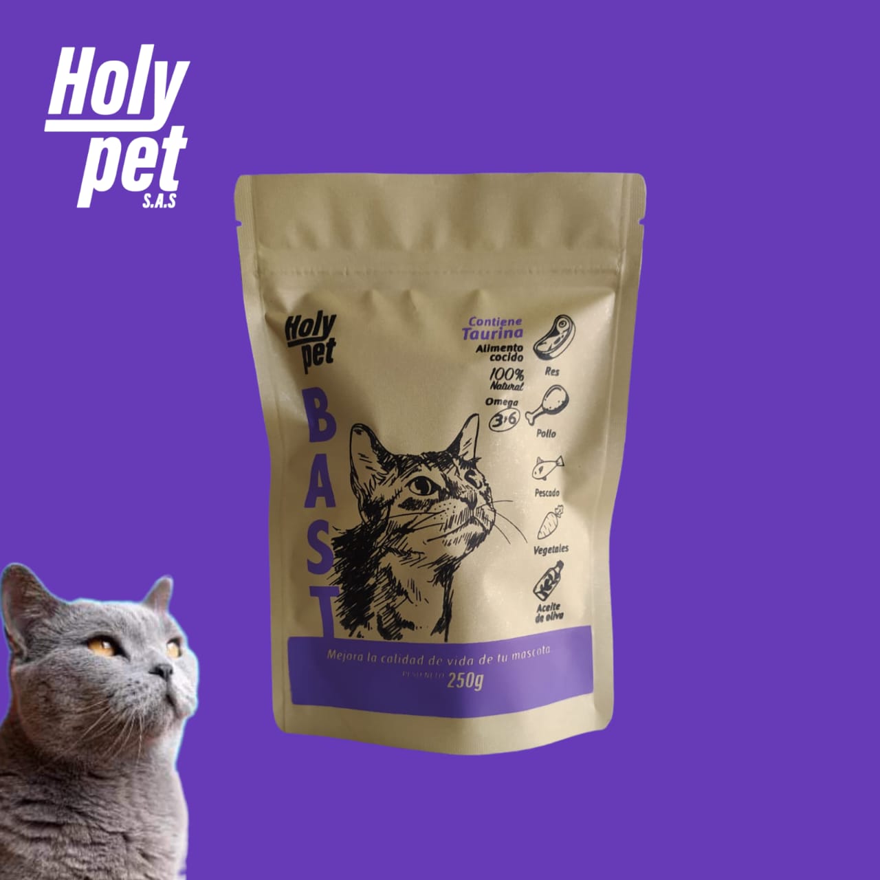 HolyPet Bast Carne para Gatos